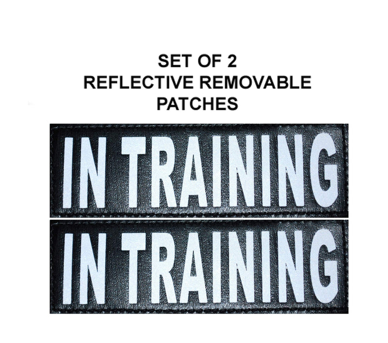 Doggie Stylz Set of 2 Reflective in Training Removable Patches with Hook Backing for Working Dog Harnesses & Vests. Durable and Interchangeable - Comes in 3 Sizes Small, Medium and Large Medium 4" X 1.5" - PawsPlanet Australia