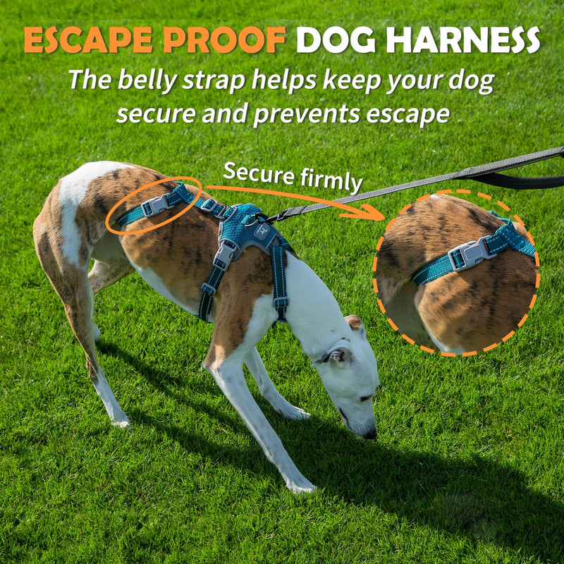 Huntboo Escape Proof Dog Harness – No Pull, No Slip, Fully Reflective, Adjustable 7-Point Design for Small, Medium, and Large Dogs – Lightweight for Outdoor Training & Hiking (Teal, M) Medium (Pack of 1) Teal - PawsPlanet Australia