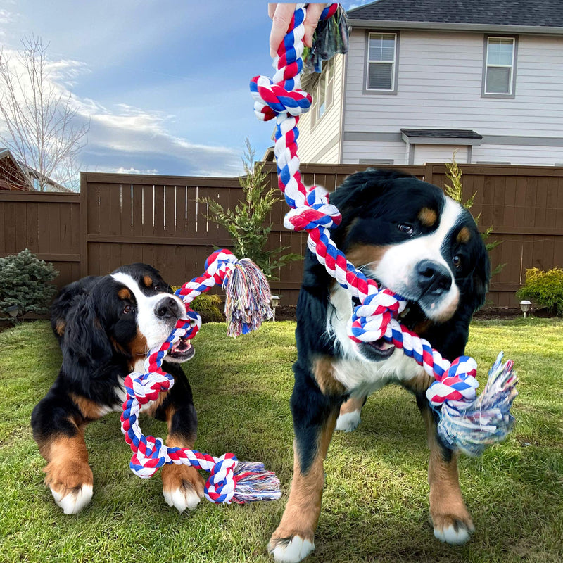 Youngever 3.5 Feet Dog Rope Toys for Aggressive Chewers, Tough Rope Chew Toys for XL, Large and Medium Dog, Indestructible Rope for Large Breed Dog Tug War Teeth Cleaning 5 Knots