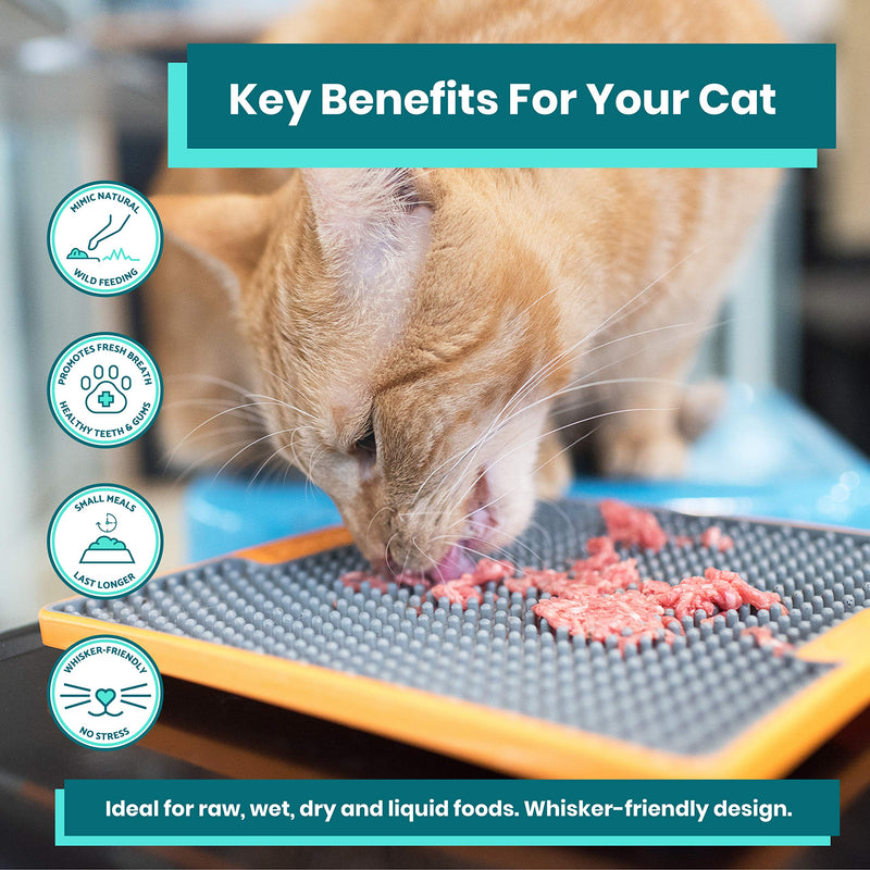 LickiMat Tuff Cat, Heavy-Duty Soother, Cat Slow Feeder Lick Mat, Boredom anxiety reducer; for food, treats, yogurt, or peanut butter. Fun Alternative to a Slow Feed Cat Bowl or Dish, Turquoise