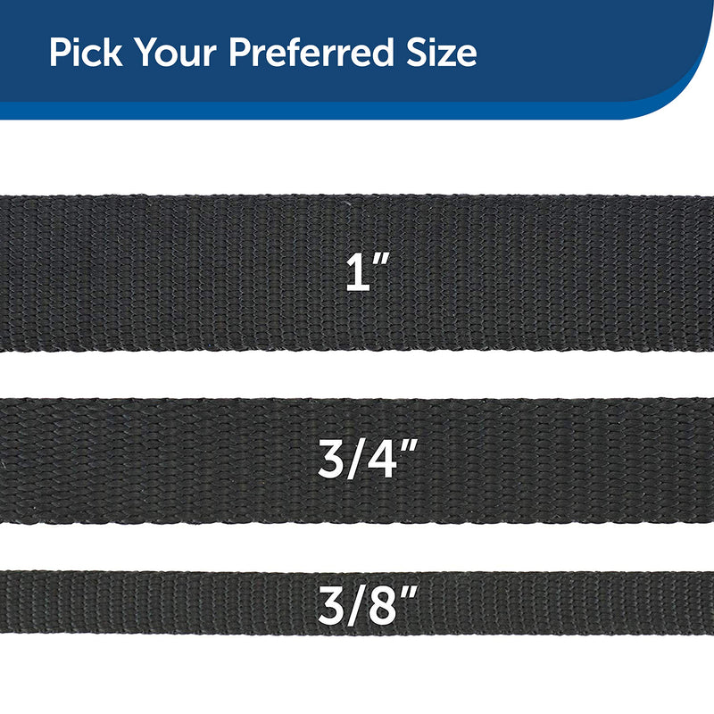 PetSafe Nylon Dog Leash - Strong, Durable, Traditional Style Leash with Easy to Use Bolt Snap - 3/8 in. x 6 ft., Black 3/8 in. x 6 ft. - PawsPlanet Australia