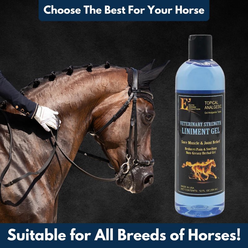 E3 Veterinary Strength Liniment Gel for Sore Muscle & Joint Relief - Reduces Pain & Swelling - Horse Liniment for Humans & Pets - Arthritis Aid - Non-Greasy Herbal Formula- Topical Analgesic (Two) 2 Count (24 fl oz)