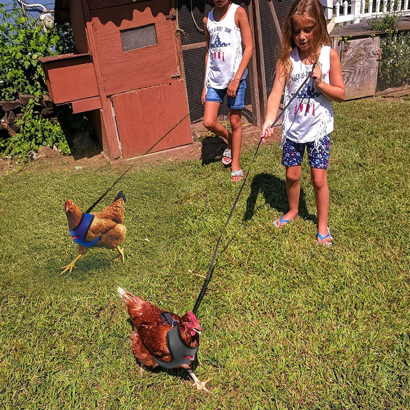 Adjustable Chicken Harness with Leash- Comfortable Hen Vest Breathable Mesh Chicken Training Harness and Leash for 2.5-3.6 Lb Duck Goose Hen Small Pets 4 Pcs - PawsPlanet Australia