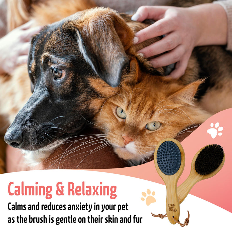 The Buddy System Combo Bristle Pet Brush, 2-in-1 Brush, Durable Rubber Side and Soft Boar Bristle Side - All Pets and Coat Lengths - Top Coat Massage for Cats & Dogs - 1 Pack