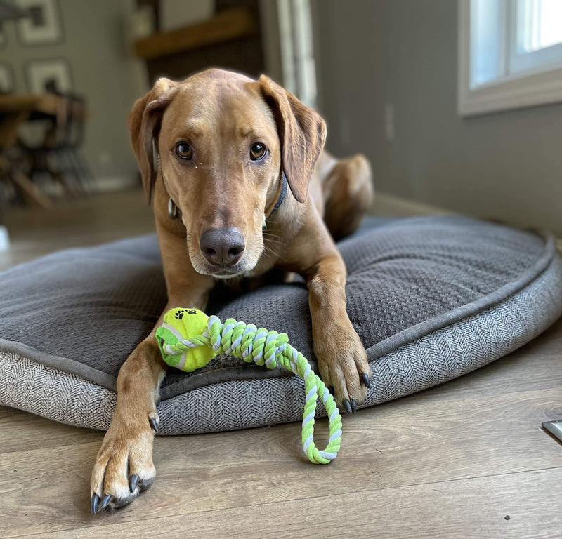 Dog Toys Rope Large Dog Chew Toys, Indestructible Rope Dog Toys Tough Dog Toys for Aggressive Chewers Large Breed, Medium Dogs, Cotton Puppy Teething Chew Tug Toy Ball Rope - PawsPlanet Australia