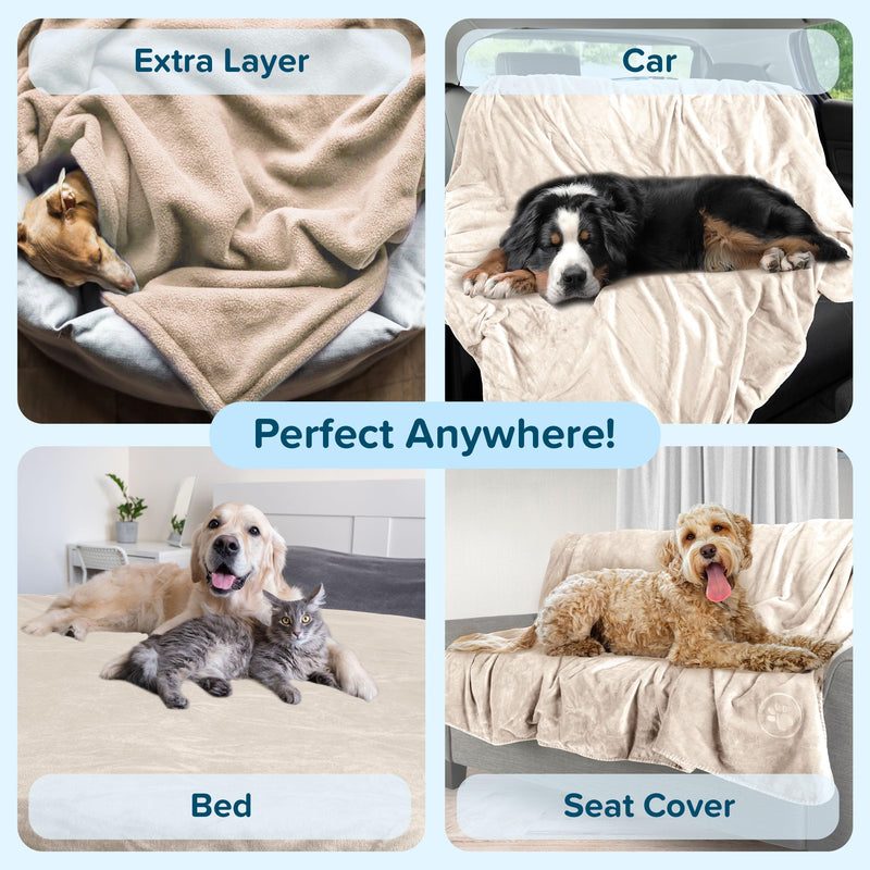PETMAKER Dog Blanket - 60x70in Reversible Sherpa Blanket - Throw Blankets for Bed, Couch, Crate, or Car - Machine Washable Puppy Essentials (Cream) - PawsPlanet Australia