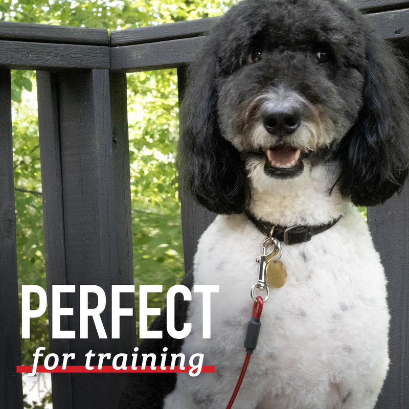 Leash Boss Dog Tie Out Cable for Large Dogs - 5 Ft Heavy Duty Tether for Outside Dog Runner - Durable, Chew-Proof, Dog Lead for Yard, Camping, and Training 5 Foot Classic Red - PawsPlanet Australia