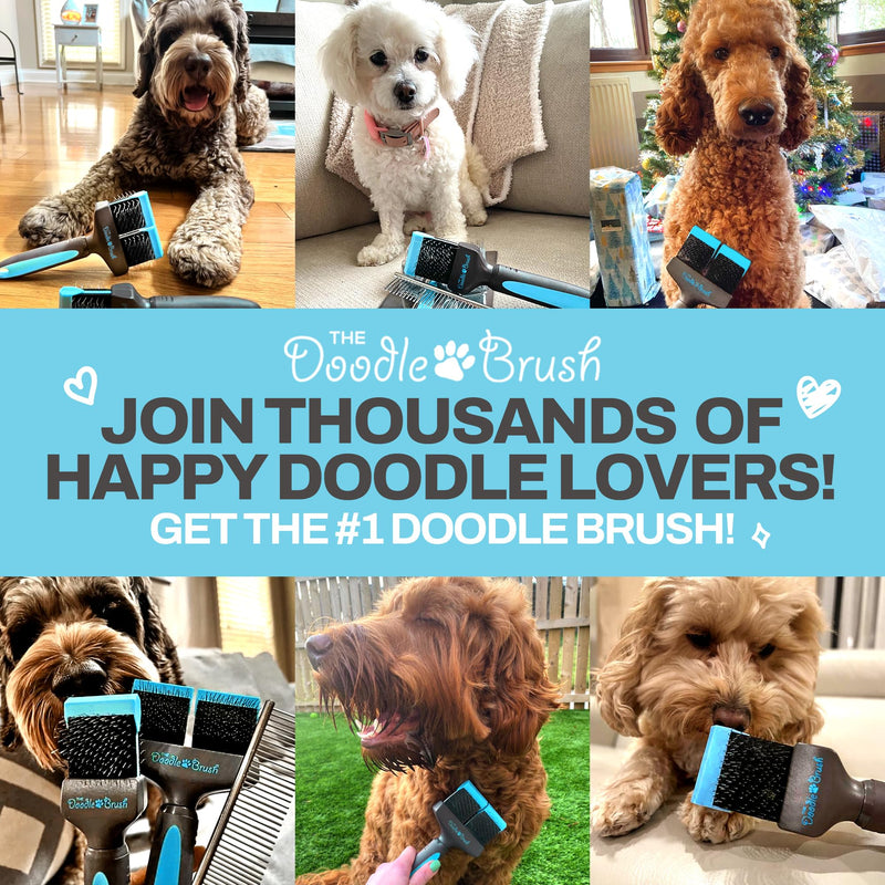 Doodle Brush Slicker Dog Brush, Dog Brush For Cockapoo, Goldendoodle Poodle Dog Brush, Dog Detangler Brush Slicker Brush for Dogs Slicker Brush Dog Slicker Brush For Long Haired Dogs - Single Head - PawsPlanet Australia