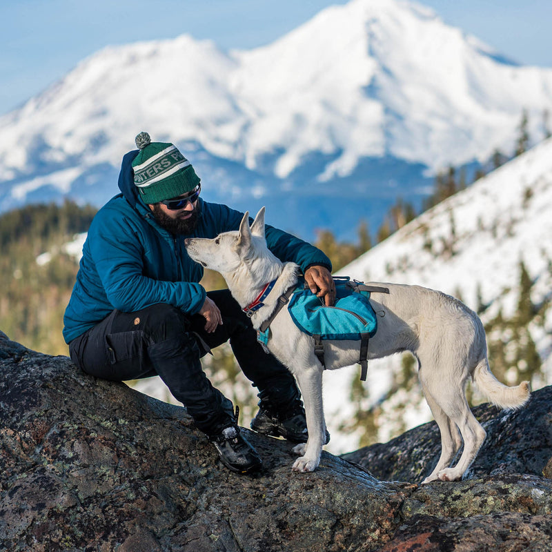 Kurgo Big Baxter Dog Backpack, Dog Saddlebag Pack for Pets, Adjustable Saddlebag for Hiking, Walking, Running, Camping, Coastal Blue - PawsPlanet Australia