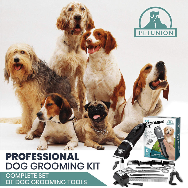 Pet Union Professional Dog Grooming Kit - Rechargeable, Cordless Pet Grooming Clippers & Complete Set of Dog Grooming Tools. Low Noise & Suitable for Dogs, Cats and Other Pets (Stainless Steel) Stainless Steel