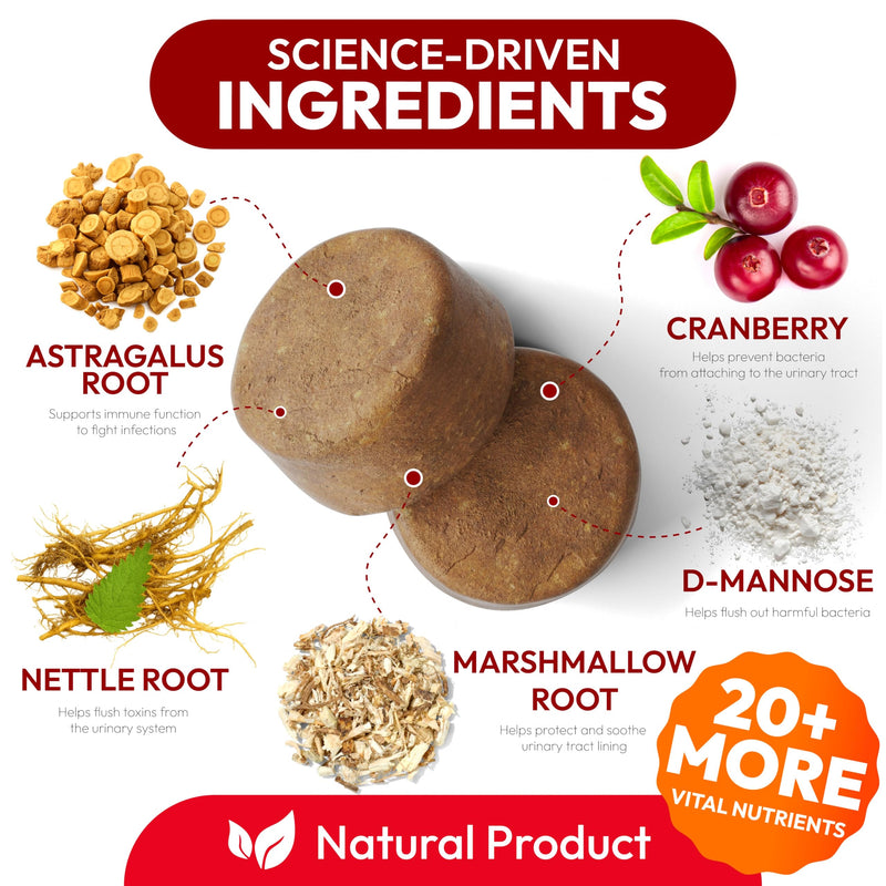 Dog UTI Treatment - 170 Cranberry Chews for Dogs - Urinary Tract Infection, Bladder & Kidney Health Multivitamin - Cranberry Supplement for Dogs with D-Mannose - Dog Vitamins and Supplements Chicken Cranberry Urinary Support - 170 Chews - PawsPlanet Australia