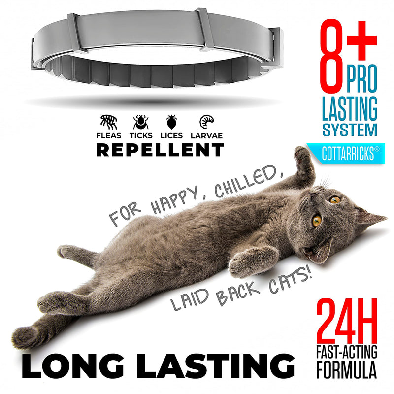 Flea and Tick Prevention for Cats - Collar - 2 Count - Adjustable - PawsPlanet Australia