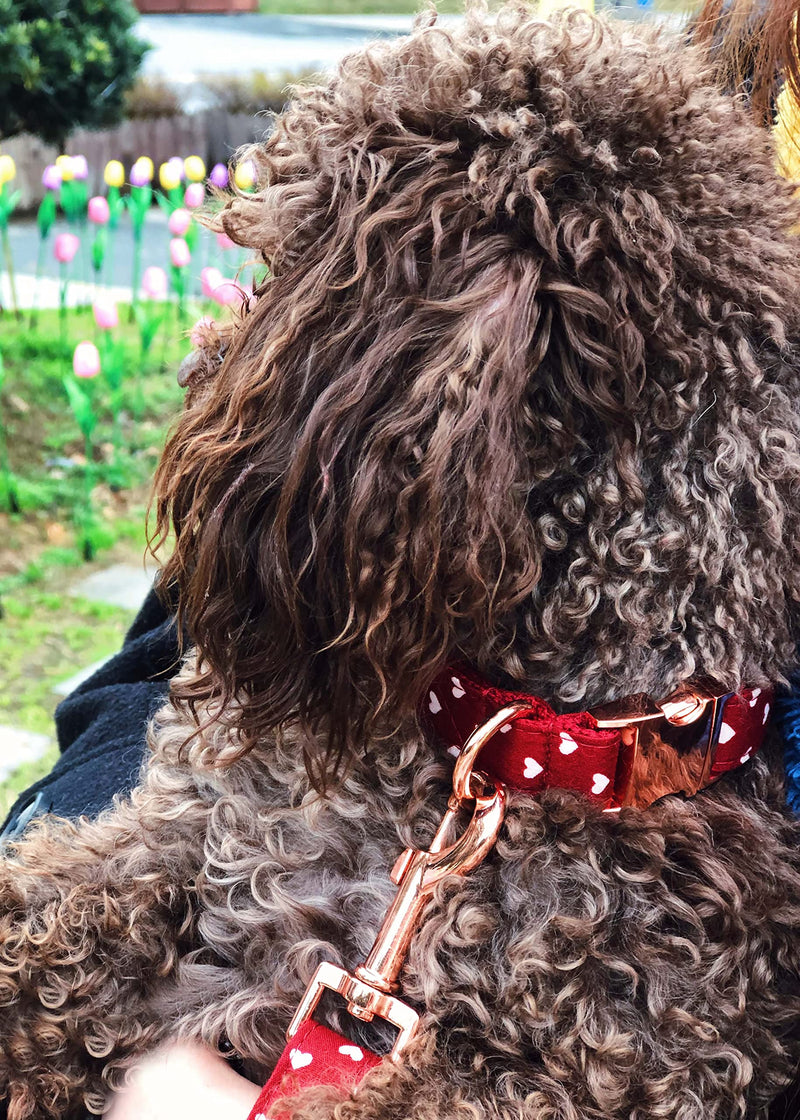Bubblepup Dog Collar and Leash Set, Comfortable Adjustable Collars for Small Medium Large Dogs, Red Hearts Pattern M - PawsPlanet Australia