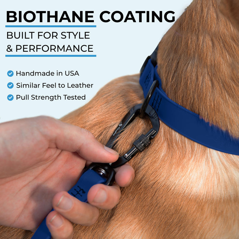 Essential Biothane Dog Leash, 3 Ft Training Lead, Cobalt Blue, Waterproof, Odor Proof, Made in USA, Self Locking Swivel Carabiner 3 Ft x 3/4" - PawsPlanet Australia