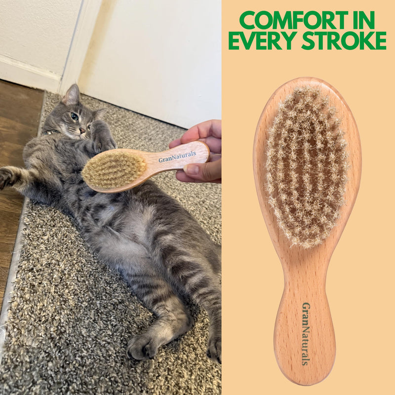 GranNaturals Boar Bristle Soft Cat Brush for Indoor, Outdoor, Short Haired Cats, Kittens, Small Dog, Rabbit, Furry Pets - Gentle Grooming on Sensitive Hair Coat & Tail with Durable Wooden Handle - PawsPlanet Australia