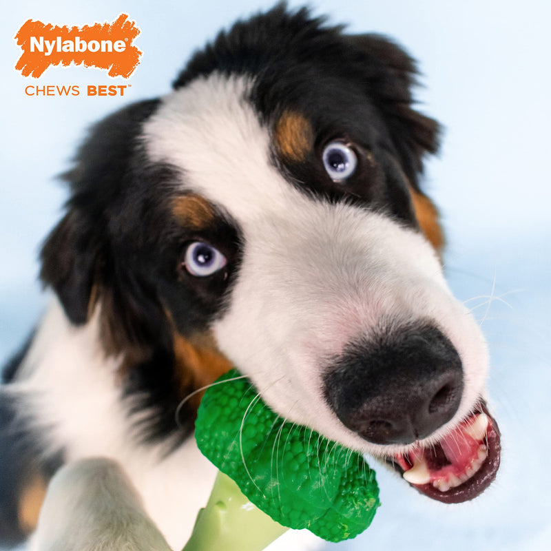 NYLABONE Broccoli Dog Toy Power Chew – Cute Dog Toys for Aggressive Chewers – with a Funny Twist! Bacon & Cheese Flavor, Large/Giant Large up to 50 lbs.