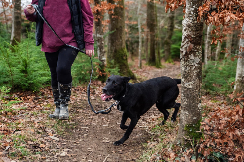 Mountain Paws Running Dog Lead | Hand-held Or Waist Mounted With Soft Grip Neoprene Handle, 1.4 Metres - PawsPlanet Australia