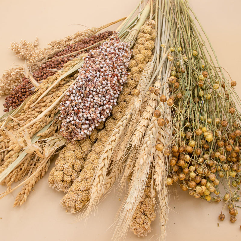 Natural Ear of Grain Flower&Herb Bedding Mate Habitat Decor, Adding Fun Hamster Accessories for Hamsters Gerbils Lemming Harvest Wind - PawsPlanet Australia