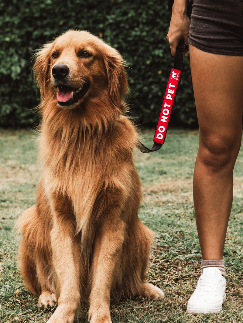 Tuff Pupper Waterproof Leash Sleeve | Fits Any Standard Size 1 Inch Wide Leash | Dual Sided Message | Durable Neoprene & Silicone | Odor & Stink Proof | Easy Secure On & Off (1 Pack, Do Not Pet) Leash Sleeve - 1 Pack - PawsPlanet Australia