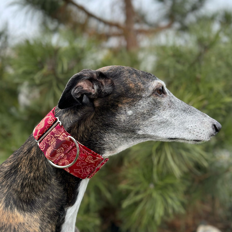 Extra Soft Martingale Dog Collar for Greyhound Saluki Whippet and Other Breeds with Similar Neck 2" Wide (L 14"-18") Burgundi Red L 14"-18" - PawsPlanet Australia