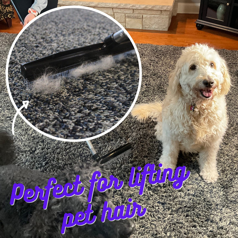 Room Groom PET Carpet Rake and Groomer with Telescoping 54 Inch Adjustable Handle, Rugs, and Artificial Turf, Purple Grip, Black/Purple - PawsPlanet Australia