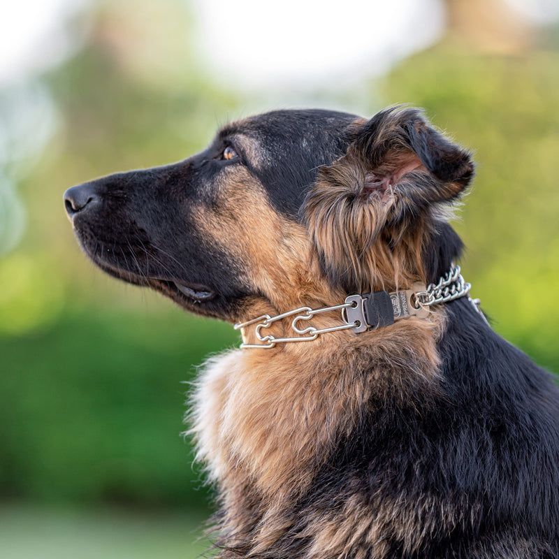 Herm Sprenger Stainless Steel Dog Collar with Quick Release ClicLock Buckle for Small Medium Large Dogs Training Collar for Dogs Made in Germany (23in x 3.2mm) 23in x 3.2mm (neck size up to 19in) - PawsPlanet Australia