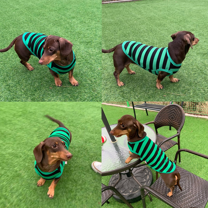 D Doggy Star Dachshund Clothes for Dogs Mini and Adults T Shirts (S,Stripe Green/Black) 4 Season T shirt S - Chest 16.14" Stripe Green/Black - PawsPlanet Australia