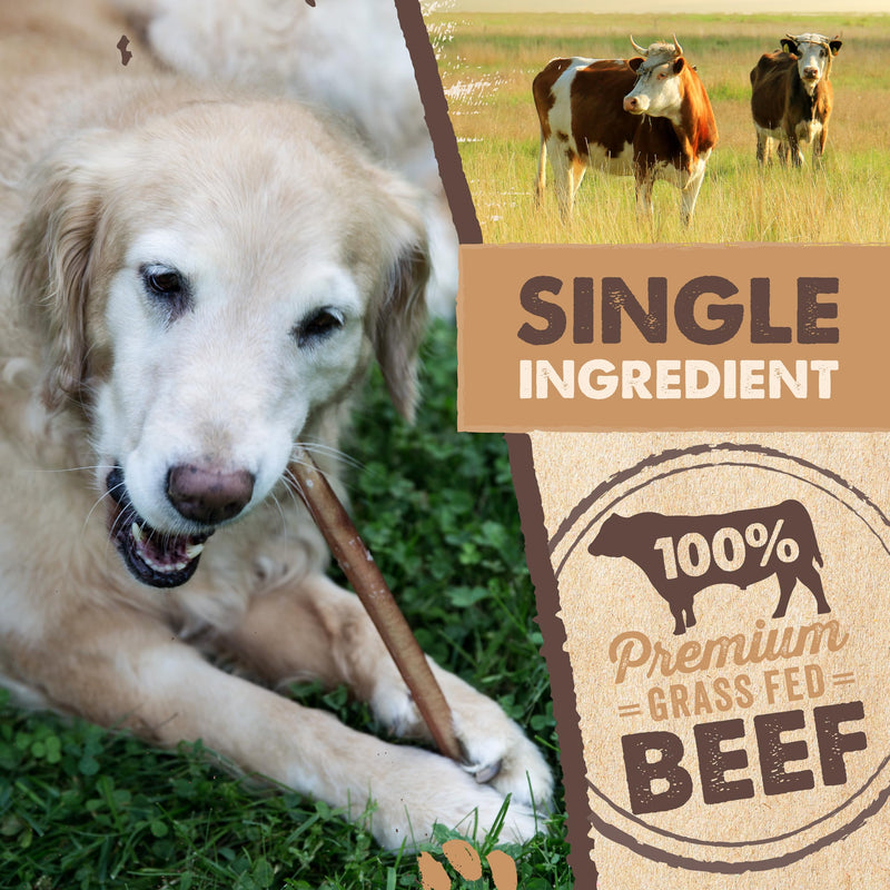 Mighty Paw Long Lasting 12" Bully Sticks for Dogs - All Natural Grass Fed Beef Chews. Lower Odor Dog Bully Sticks for Large Dogs, Medium and Small Breeds. Single Ingredient Treats - PawsPlanet Australia