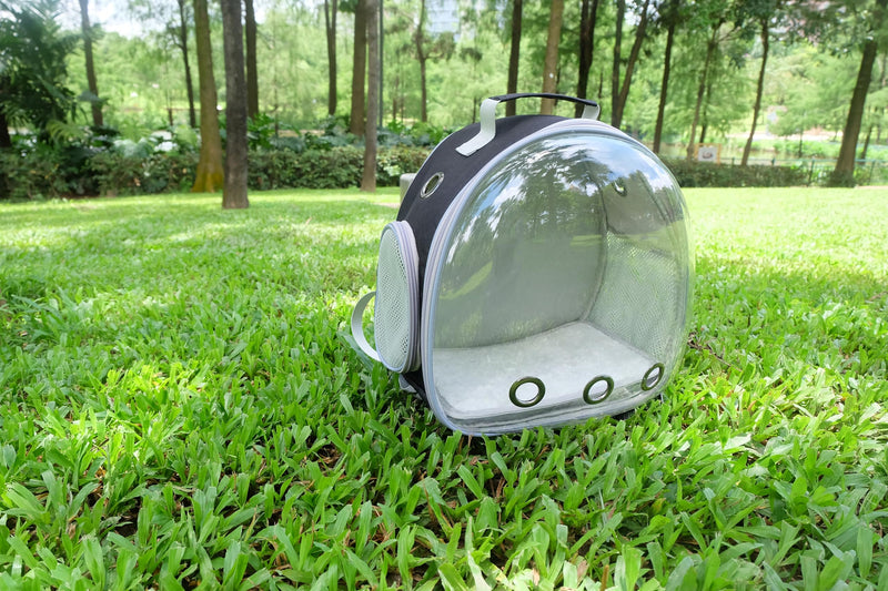 Small Animal Carrier Backpack for Guinea Pig Bird Bunny Cat Kitten Lizard Rabbit Squirrel Beared Dragon Portable Travel Carrier Backpack Space Capsule Bubble Window Carrier (Black) Black - PawsPlanet Australia