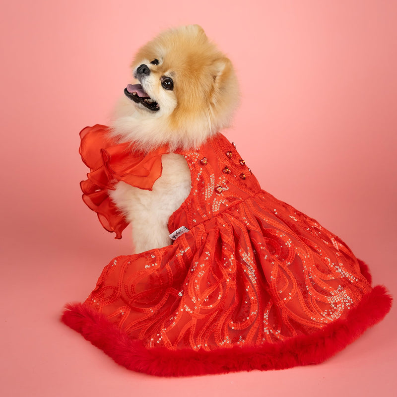 Doggy Parton Evening Star Gown - XS X-Small