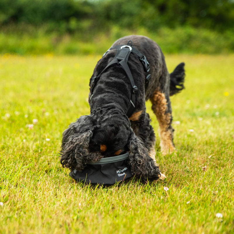 Mountain Paws 3-Strap Dog Harness | To Fit Chest Sizes 46–108cm, With Central Grab Handle And Reflective Piping Black Small - PawsPlanet Australia