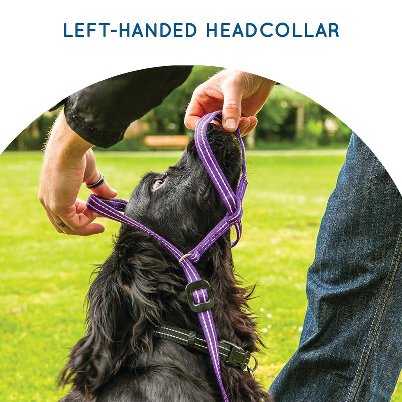Extra-Wide - Extra-Large - Anti Pull Dog Headcollar - Trainer Approved - Soft & Gentle Control - Practical Dog Training & Behaviour Aid - Left Hand - UK Made - Doesn't Include Lead - Black X-Large | X-Wide