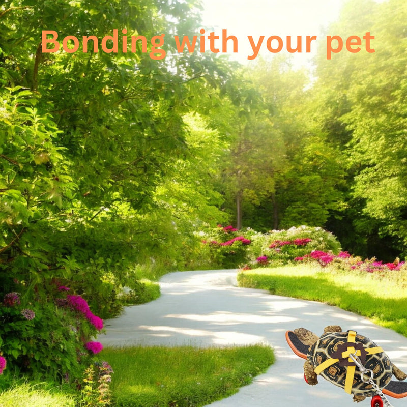 Adjustable Tortoise Leash and Funny Skateboard Set, Training Harness and Mini Skateboard for Turtle Dragon Bearded Lizard Small Pets, Pet Tortoise Toys, Accessories for Tortoises (Large) Large - PawsPlanet Australia