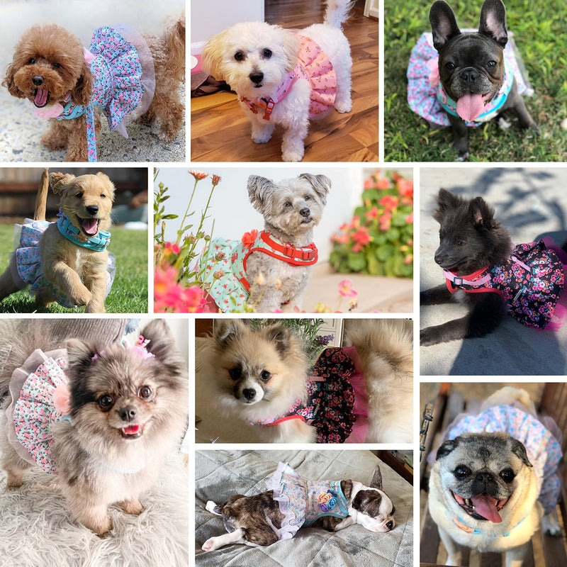 Blueberry Pet Soft & Comfy Floral No Pull Mesh Dog Harness, X-Small, Rose Baby Pink, Dress Harness for Dogs Girl, Small Dog Vest Harness, Fashionable for Puppy Owners X-Small (Pack of 1) - PawsPlanet Australia