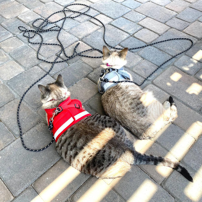 Cat Leash - 15 ft / 30 ft Reflective Long Cat Leash Outdoor for Walking Training Playing - Escape Proof Yard Lead Pet Leash Also for Cats, Small Dogs, Puppy, Kitten, Rabbit Black - PawsPlanet Australia