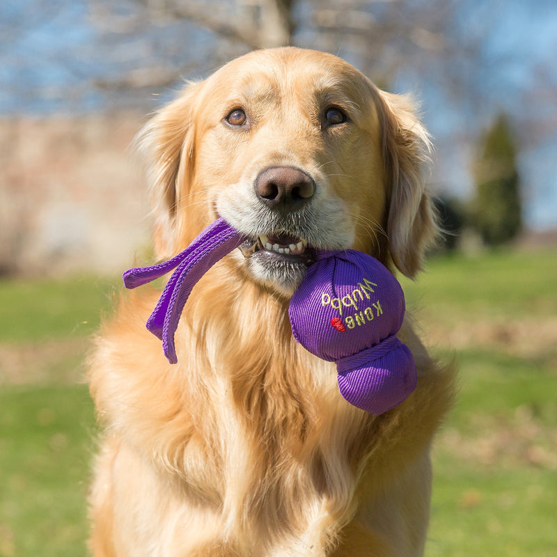 KONG Wubba Dog Toy Extra Large Wubba(Colors may vary)