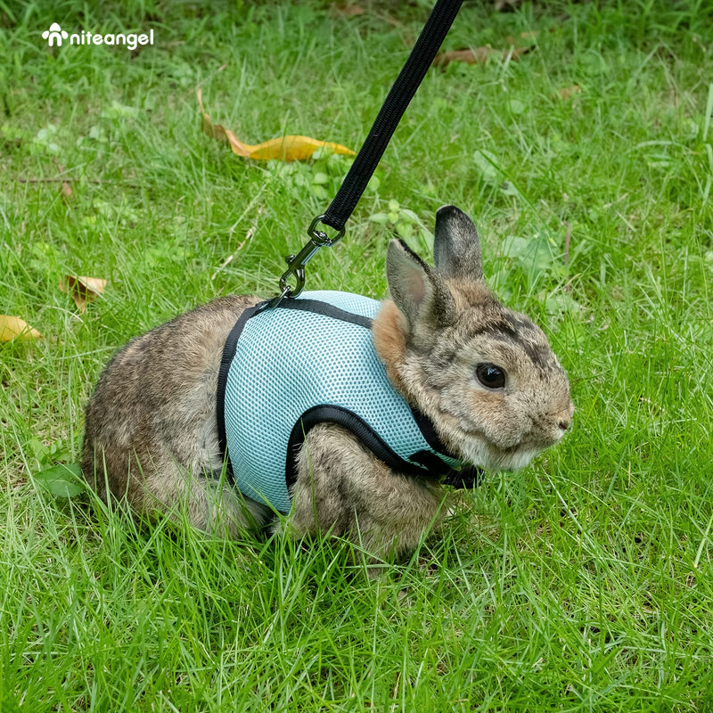 Niteangel Adjustable Soft Harness with Elastic Leash for Rabbits (L, Blue) L - PawsPlanet Australia