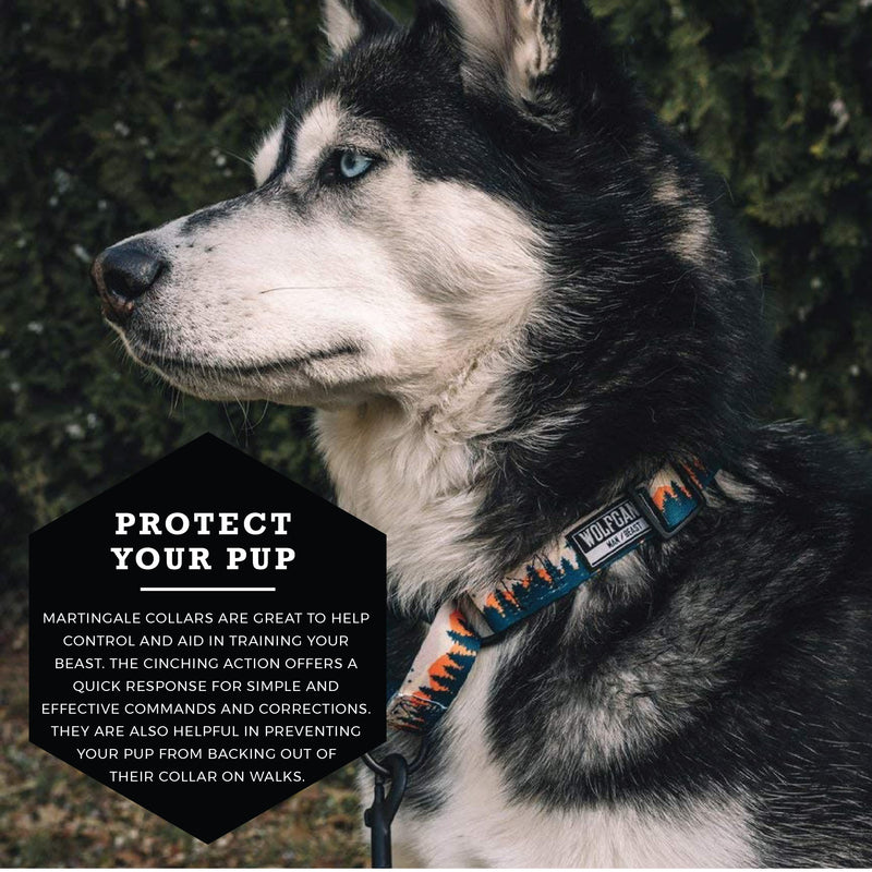 Wolfgang Premium Martingale Dog Collar for Medium Dogs, Durable & Easy to Clean Nylon Dog Collar with Quick Clip Buckles, for Training & Daily Use, Made in USA, Overland Print, (1 Inch x 14-18 Inch) Medium (1 Inch x 14-18 Inch) - PawsPlanet Australia