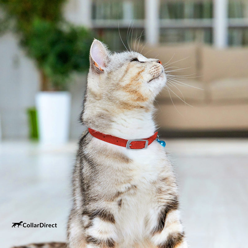 CollarDirect Leather Cat Collar with Removable Bell – Safety Elastic Strap (Breakaway Alternative) – Kitten Collar for Small & Big Boy & Girl Cats Red Neck Fit 6"-7"