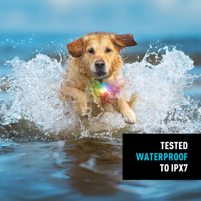 Nite Ize SpotLit Splash Waterproof Rechargeable Collar Light - Supports Visibility on Night Walks - Four Colors in Glow, Flash or Color-Changing Disc-O Mode - Waterproof & Submersible - Disc-O Tech