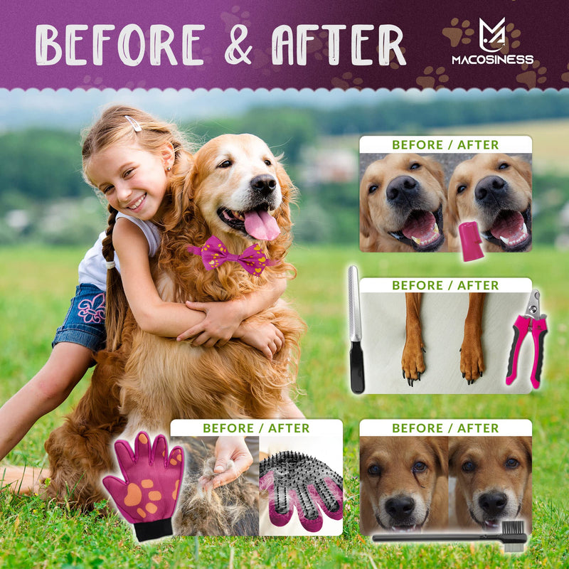 Pet Grooming Hammock for Nail Trimming - Complete Groomers Helper Set for Pet - Dog Grooming Hammock with Hook - Cat Nail Clipper - Dog Hammock for Nail Clipping (L, Purple with Gold Paws) PREMIUM SET - Purple with gold paws L - PawsPlanet Australia