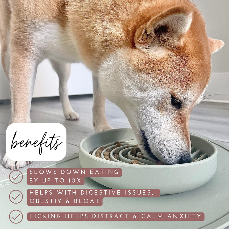 The Slowdown Bowl - Silicone Slow Feeder for Dogs & Puppies, Slow Eating, Modern Lick Mat Design, Reduces Gulping, Dishwasher Fit, for All Breed, Mealtime Challenge, Medium-Terracotta Terracotta - Rainbow Design - PawsPlanet Australia