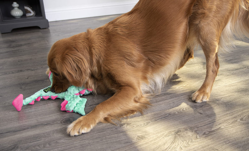 goDog Dragons with Chew Guard Technology Durable Plush Squeaker Dog Toy, Large, Seafoam, Plush Dog Toy Bubble Plush Dragon - Seafoam - PawsPlanet Australia