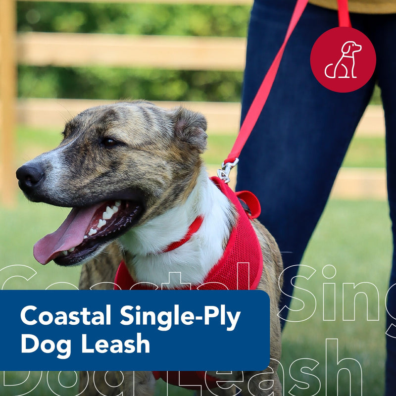 Coastal Pet Single-Ply Dog Leash - Leashes for Puppies & Dogs - Fade-Resistant Dog Leash - Features a Bolt Snap - Pet Supplies for Dogs - Neon Pink, 3/8" x 6' 3/8" x 6' (Pack of 1)