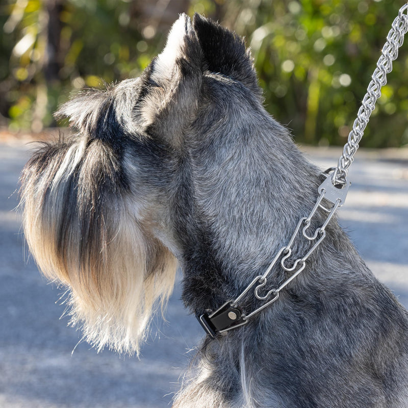 Herm Sprenger Dog Training Prong Collar with Quick Release ClicLock Buckle and Biothane Insert Stainless Steel No-Pull Collar Made in Germany (23in x 3.2mm Prongs (Neck Size up to19-20in)) 23in x 3.2mm(neck size up to19-20in)