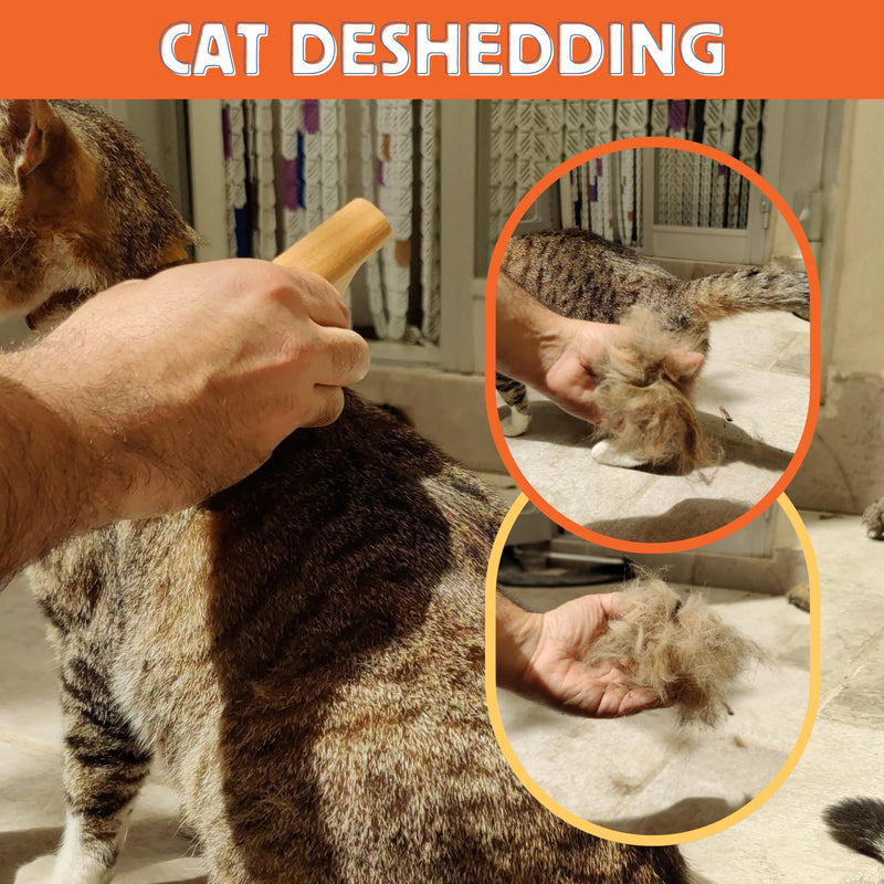 Jocomb Wooden Deshedding Brush for Dogs, Cats & Horses - Gentle Grooming Tool for Thick, Short & Wiry Coats - Dematting Pet Brush for Shedding Control & Comfort - PawsPlanet Australia