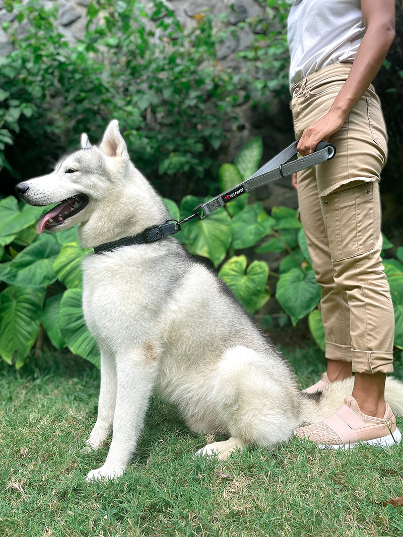 Tuff Pupper Service Dog Leash With Handle for Large Dogs | 12 Inch | Perfect for Service Harness & Training | Traffic Handle With Padding | Short Coupler - PawsPlanet Australia