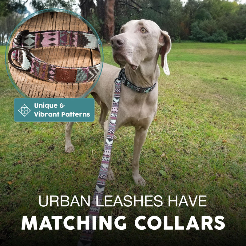 Embark Adventure Dog Leashes - Colorful, Strong and Sturdy Dog Leash for Small, Medium and Large Breed Dogs (Aztec, 4 Ft) - PawsPlanet Australia