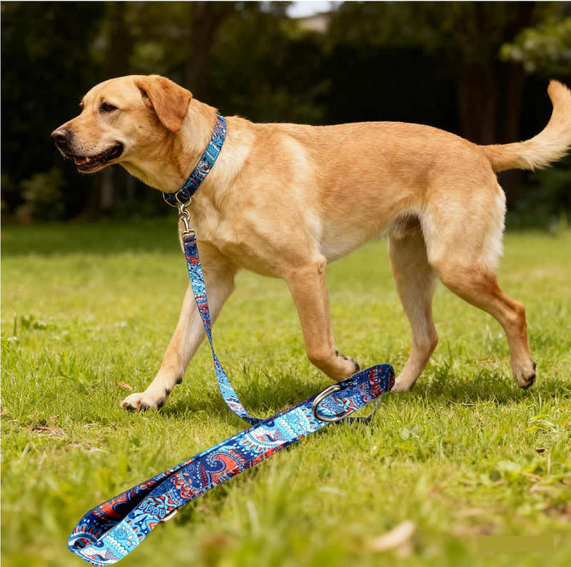 Heavy Duty Dog Leash, 1 Inch Width, Nylon Training Leash, Multiple Lengths 1.5-5 FT, for Small Medium Large Dogs Dark Blue 5FT (60inches) - PawsPlanet Australia