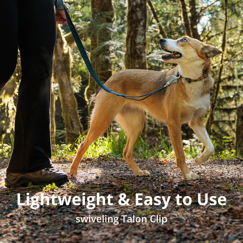 Ruffwear, Roamer Bungee Dog Leash for Running, Biking or Hiking, Can be Used Hand-Held or Hands-Free, River Rock Green, 5.5'-7' 5.5'-7' - PawsPlanet Australia